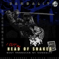 Head of Snakes - Single - Kandalit