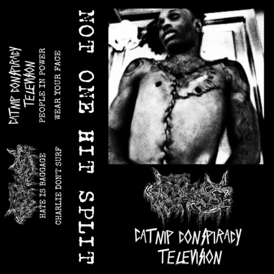 Not One Hit Split: Fleabag X Catnip Conspiracy Television - EP