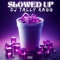 Slowed Up (feat. Jamaican Haze & Queen Savage) - DJ Tally Ragg lyrics