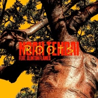 ROOTS (feat. Levi Samo*) - Single - Noah Tendai & Clinton Flames