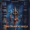 Tere Naam Ki Mala - Single