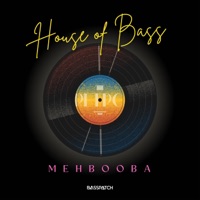 Mehbooba (Radio Edit) - Single - Basspatch