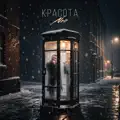 Красота
