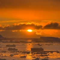 Sunshine - Single - Apollo Clone