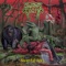 Chronicles of Black Bear Don - Swamp Tooth lyrics