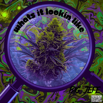 whats it lookin like - Single