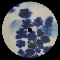 Talk to Me - Single - dentist