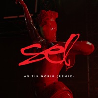 Aš Tik Noriu (Remix 2025) - Single - Sel