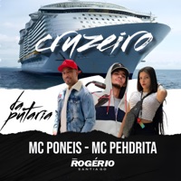 Cruzeiro da Putaria - Single - MC Poneis, Mc Pehdrita & Dj-Rogério Santiago