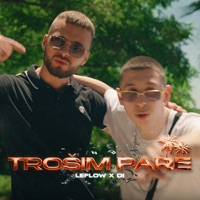 Trosim Pare - Single - Leflow & Di