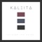 Through The Noise - Kaleita lyrics