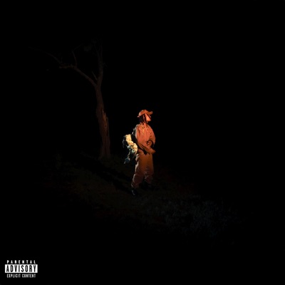 NEVER CHANGE - Single