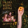 the seed becomes exposed