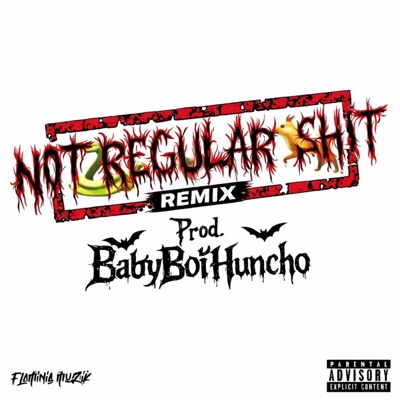 Not Regular Shit (feat. Flaminia Boyz & Sant’Andrea) [Remix] - Single