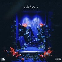 OPEN THE VAULT: VOLUME 2 - EP - Jaydense