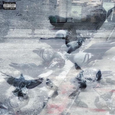 Where Do Pigeons Go? - Single