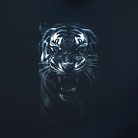 Тігири - Single - Bandi&Bagi