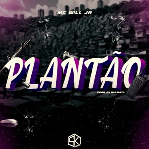 Plantão