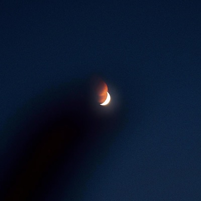 i always lose (feat. hazvrdouz) - Single