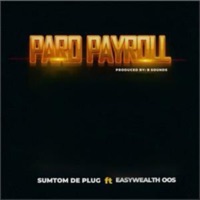 Paro Payroll PP (feat. Easywealth OOS) - Single - Sumtom De Plug