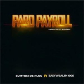 Paro Payroll PP (feat. Easywealth OOS) Sumtom De Plug