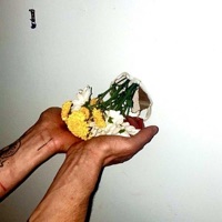 Album cover for Limp Bizkit (feat. Infopolice) by Dianacrawls