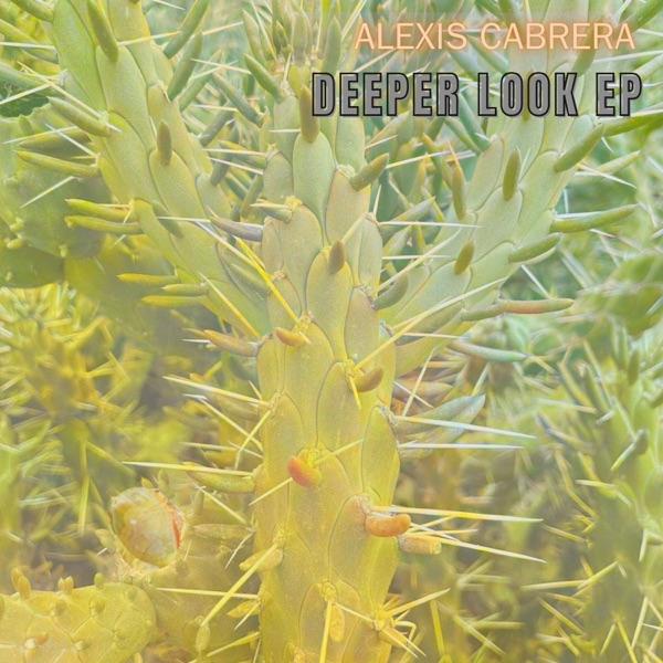 Deeper Look - Single