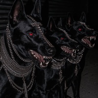 FASHION STVR - Single - BigWig