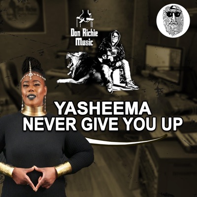 Never Give You Up - Single
