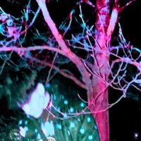 bfr - Single - lunarr archive