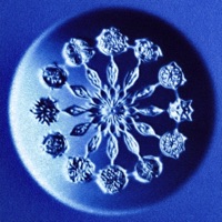 Калейдоскоп - Single - RYSO