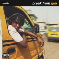 Break From Gidi - Single - Marllie