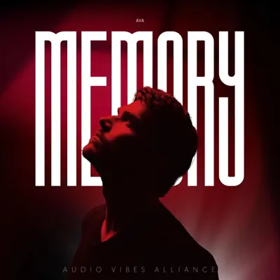 Audio Vibes Alliance의 Memory - Single을(를) 감상해 보세요.