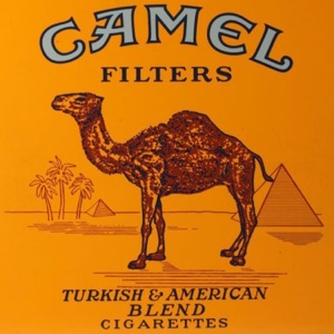 Camel Filters - Single