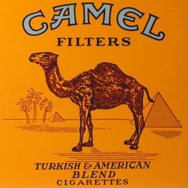 Camel Filters - Single