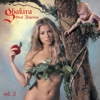 Shakira - Hips Don't Lie (feat. Wyclef Jean) artwork