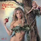 Shakira - Hips Don't Lie