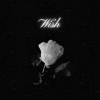 Wish - Single - LilVin999, Zana Beatz & Crown Scoopa