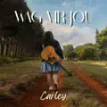 Wag Vir Jou