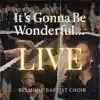 I Just Want to Thank You, Lord (Live)