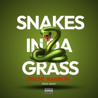 Snakes In Da Grass - Single - Chase Manson