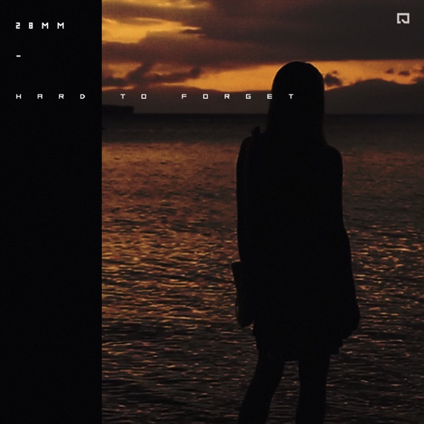 Hard to Forget - Single