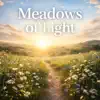 MEADOWS OF LIGHT