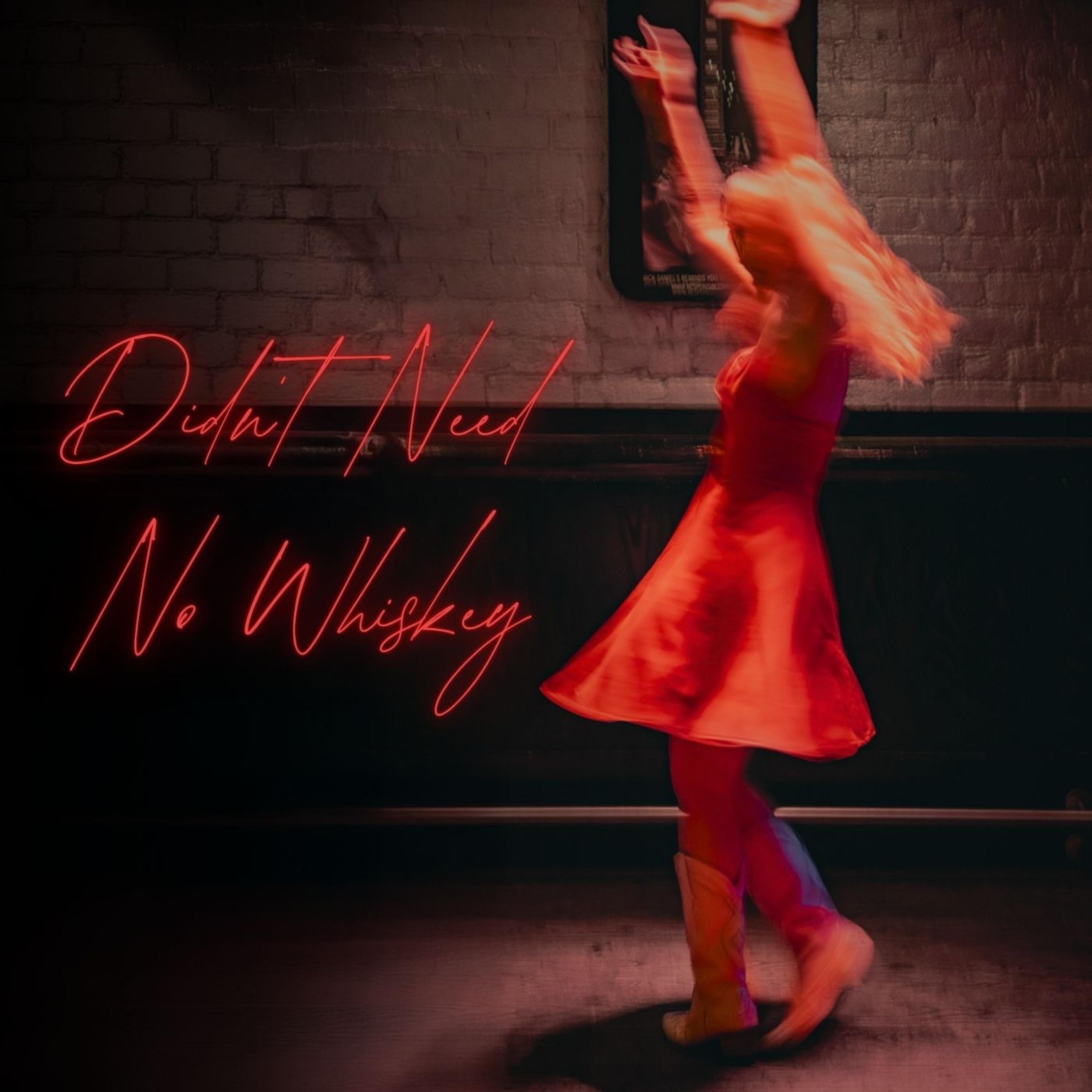 Didn't Need No Whiskey - Single