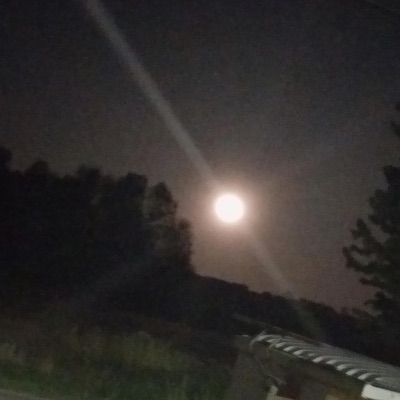 In My Sleep - Single