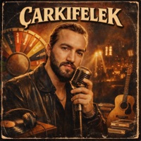 Çarkıfelek - Single - Beşir Bayraktar