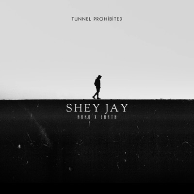 Shey Jay (feat. Megh) - Single
