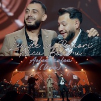 Aoleu aoleu (Live) - Single - Leo de la Rosiori & Nicu Boieru