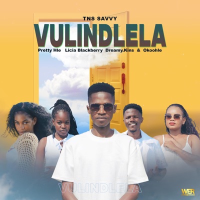 Vulindlela (feat. Pretty Hle, Dreamy.Kins, Licia Blackberry & Okoohle) - Single