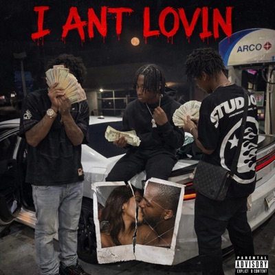 Lovin no hoe (feat. 617delo & MikeLoaf) - Single